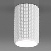 Накладной светильник Elektrostandard DLN112 a048144 фото Накладной светильник Elektrostandard DLN112 a048144. Фото №1