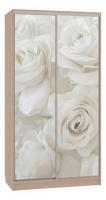 Рио 7-600 розы (полки справа) дуб млечный
