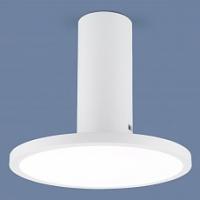 Накладной светильник Elektrostandard DLS029 a047771 фото Накладной светильник Elektrostandard DLS029 a047771. Фото №1