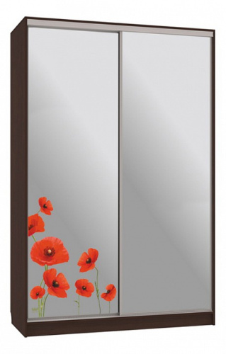 Рио 4-600 маки (полки справа) венге. Фото №1