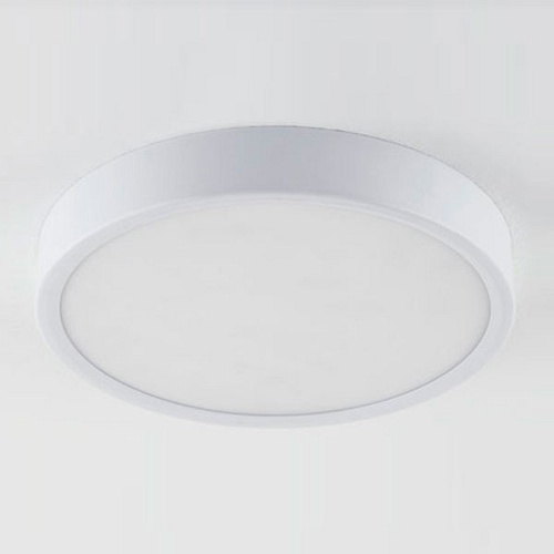 Накладной светильник Elektrostandard DLR034 a043015. Фото №1