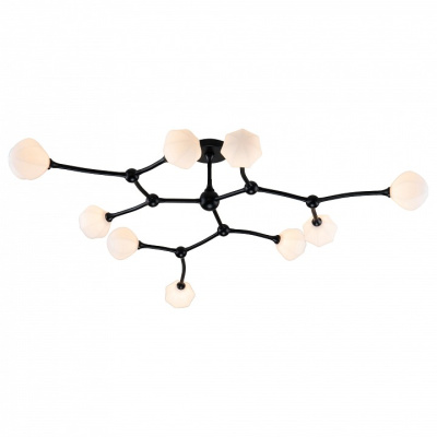 Потолочная люстра Favourite Suri 2688-9P фото Потолочная люстра Favourite Suri 2688-9P. Фото №2