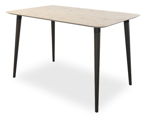 Олимп 1 Стол (обеденный) камень светлый/венге. Фото №1